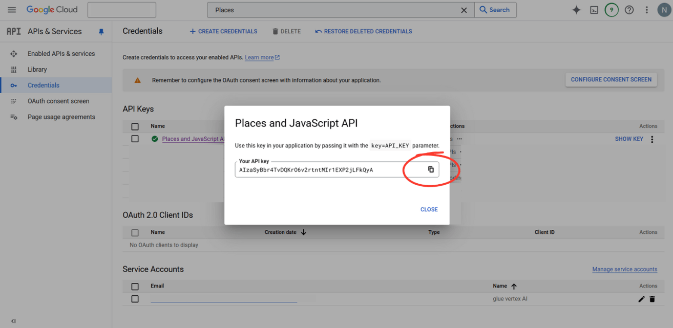 How to Install and Get API Keys for Google Address Manager