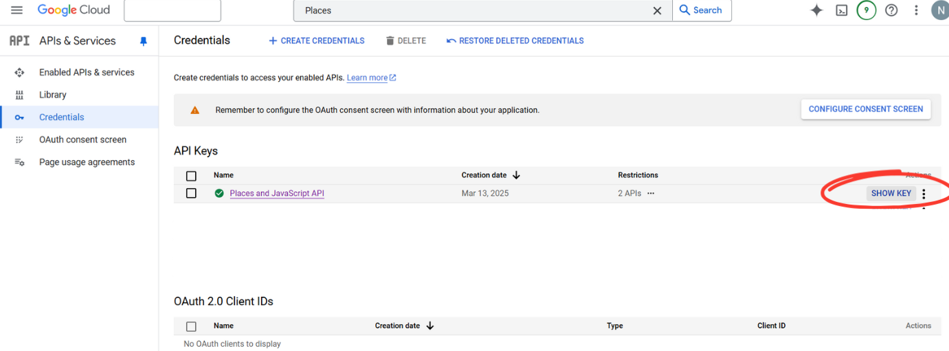 How to Install and Get API Keys for Google Address Manager